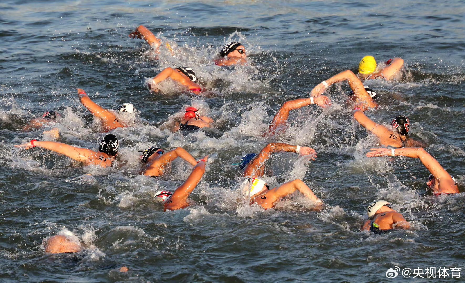 开云体育平台APP-游泳选拔赛选手实力碾压，领先一步的简单介绍