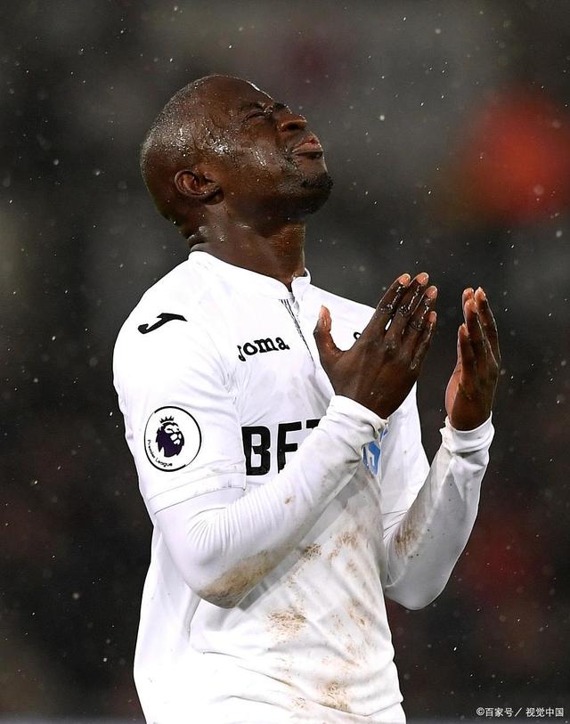 斯旺西主场击败对手豪取胜利的简单介绍