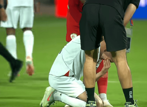 国际比赛中出现裁判争议，引发球迷热议