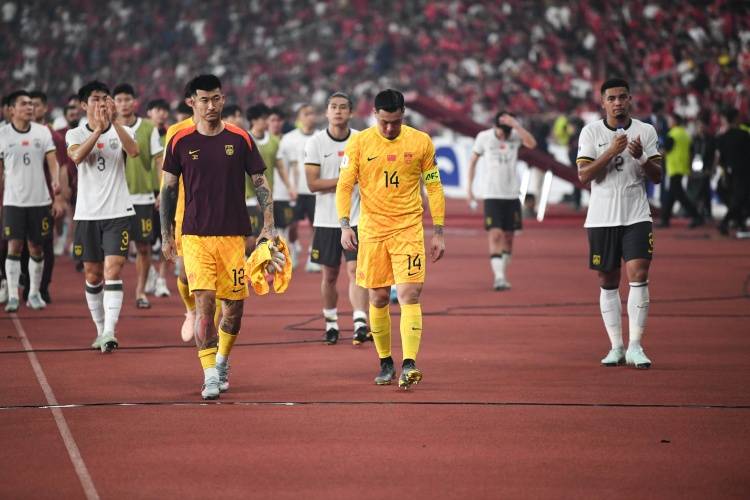 队伍经历危机，寻找希望之光的简单介绍