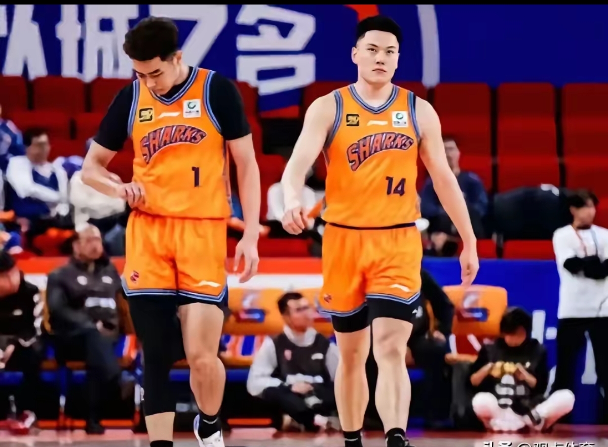 开云体育下载-上海队遭遇连败，面临艰难局面