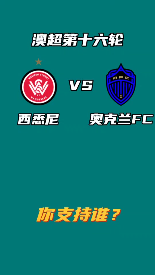 开云体育入口-西悉尼流浪者主场告捷，晋级亚冠强