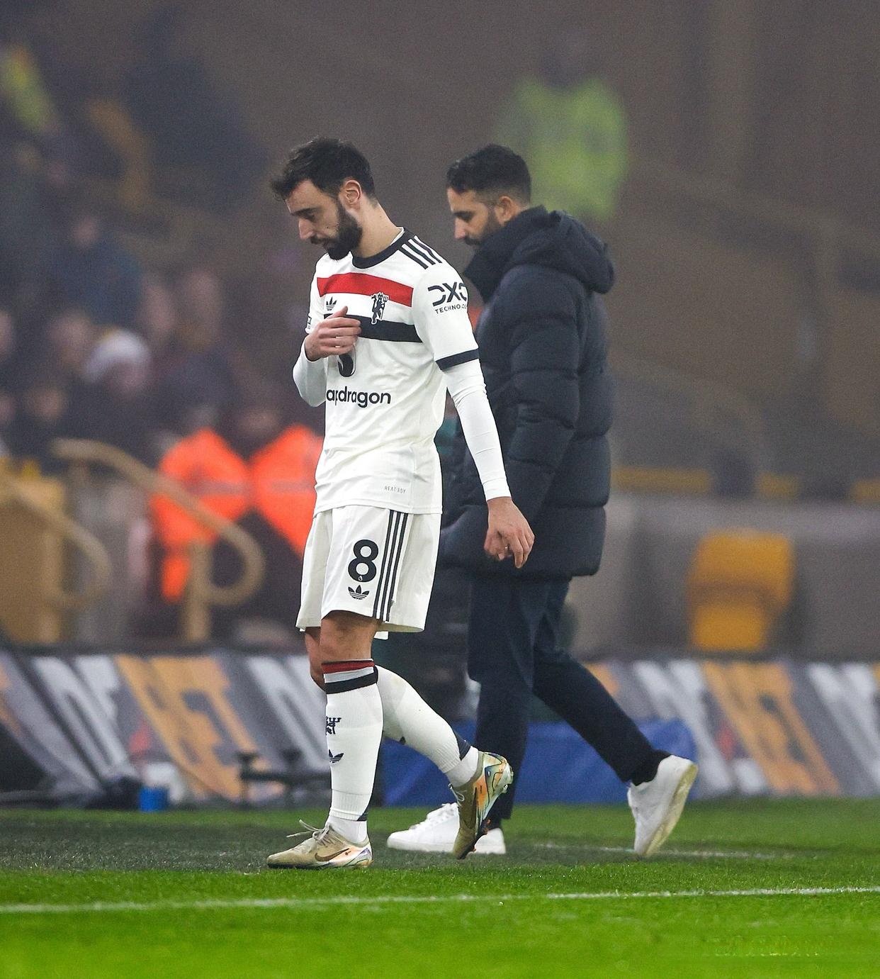 开云APP-布莱顿近期成绩稳健，球队整体实力得到认可