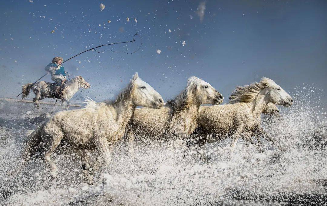 开云体育平台APP-蒙古队选手表现出色，勇往直前