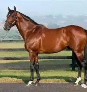 开云体育官方网站-包含马略卡家门失守，实力遭遇考验的词条