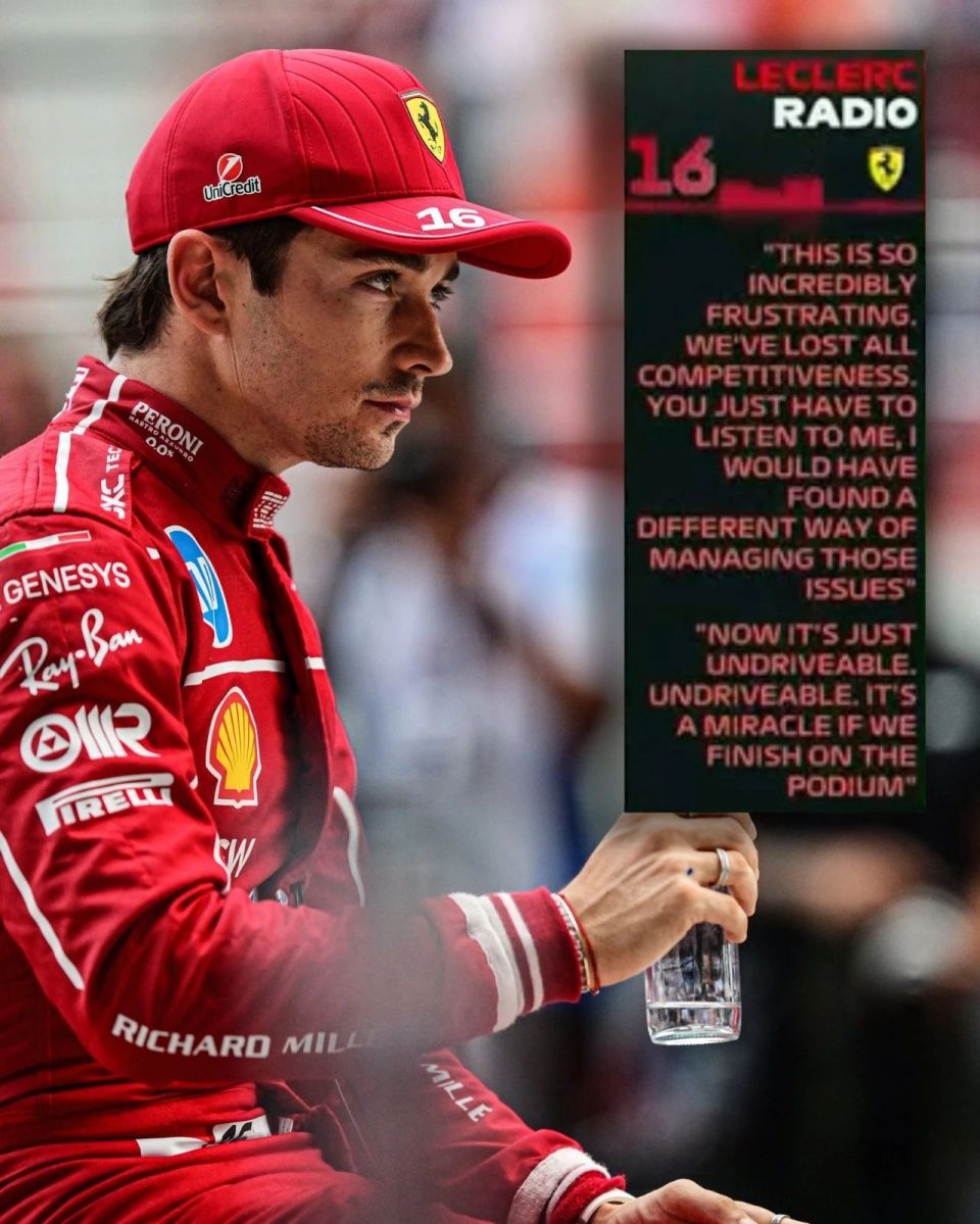 开云体育下载-雷诺车队力克阿斯顿马丁，勒克莱尔高光表现的简单介绍